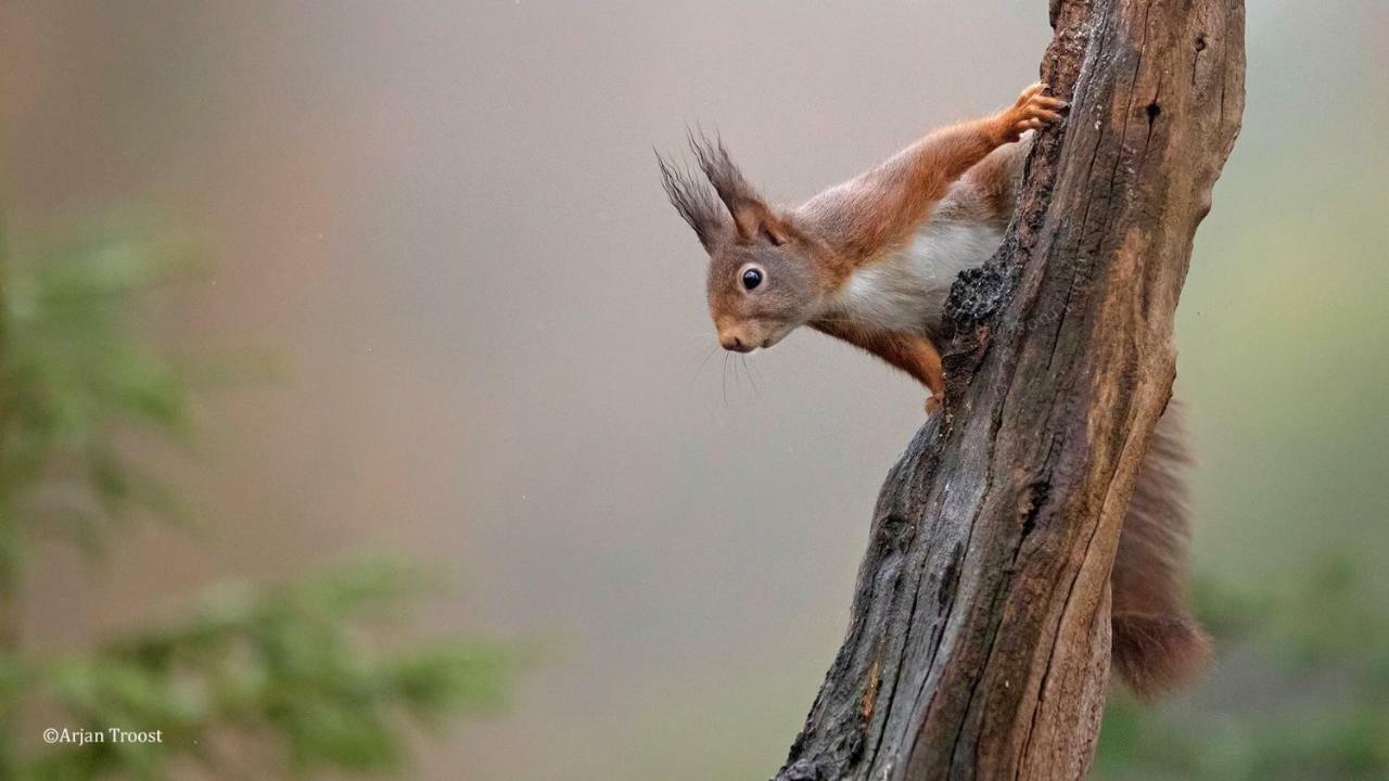 Carpe Diem Nijverdal Dış mekan fotoğraf